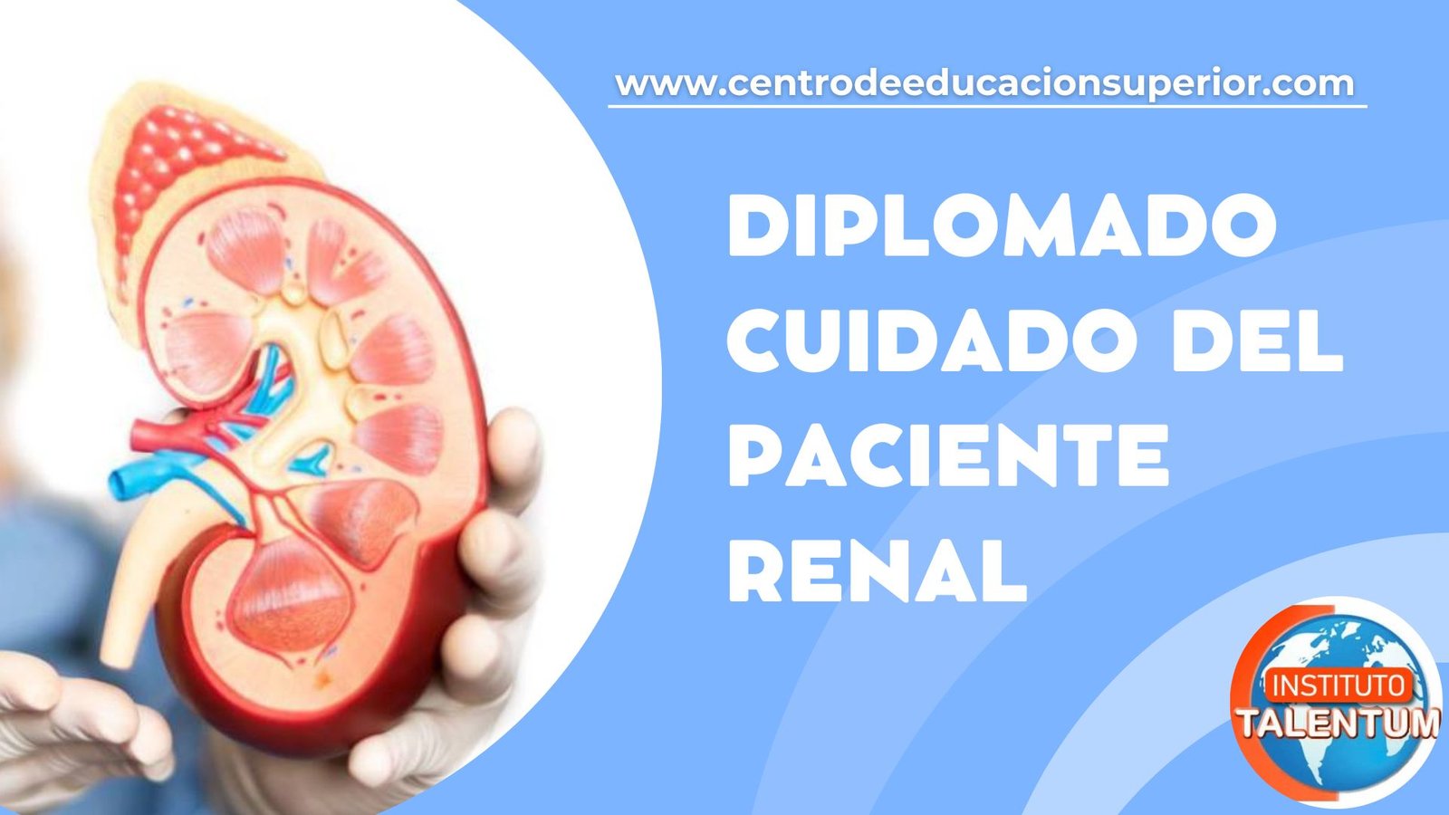 Diplomado Cuidado Del Paciente Renal